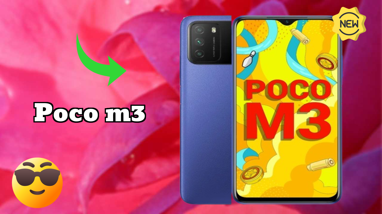 POCO M3 Display Analysis: 6.53 Inches (16.59 Cm) Screen